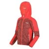 Regatta Dissolver V Polaire De Marche Zippé Pour Enfant - Rose Pâle -Vêtements De Sport Extérieur dissolver v polaire de marche zippe pour enfant rose pale