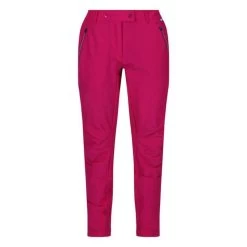 Regatta Pantalon De Randonnée HIGHTON Femme (Bleu Foncé)