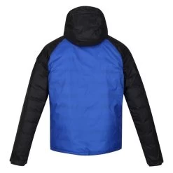 Regatta Radnor Homme Randonnée Veste - Bleu Noir -Vêtements De Sport Extérieur radnor homme randonnee veste bleu noir 3