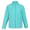 Regatta Veste Polaire KING Unisexe (Turquoise)